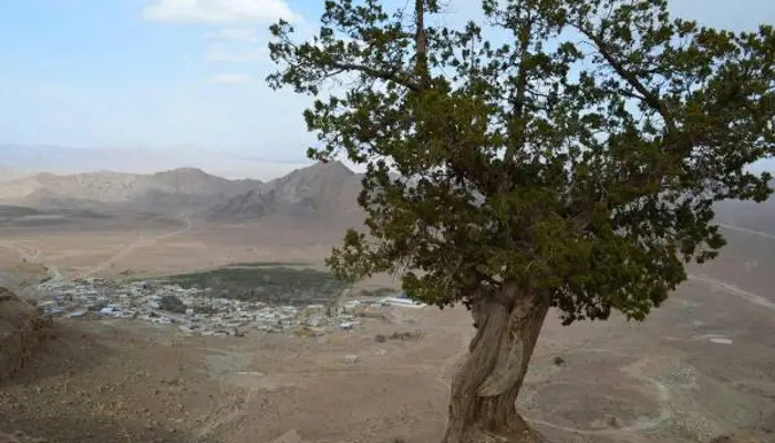 روستای باجگان یزد